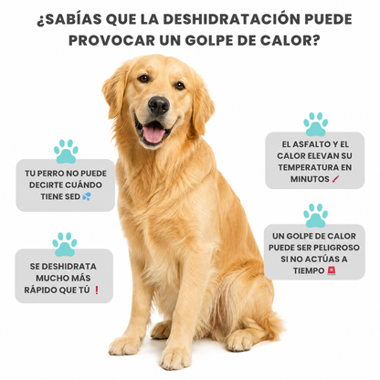 Bebedero Portátil Para Perros 2 en 1